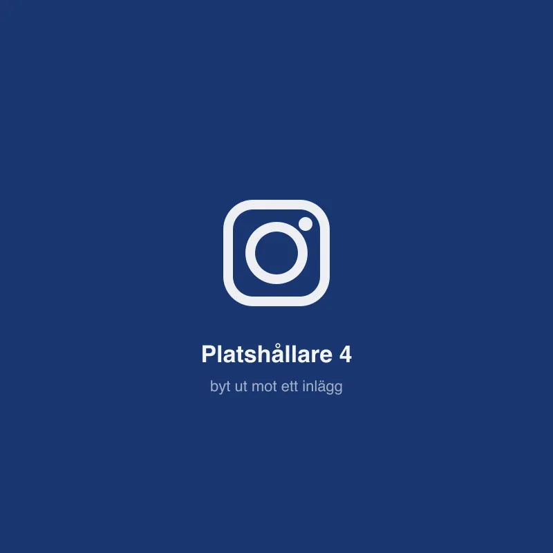 Platshållare 4